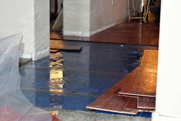 Professional Basement Flood Cleanup technician working in Frankfort, OH